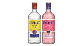 Finsbury Dry Gin oder Wild Strawberry