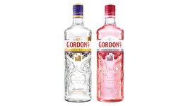 Gordons Gin
