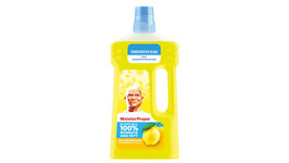 Meister Proper Allzweckreiniger