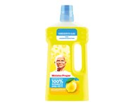 Meister Proper Allzweckreiniger